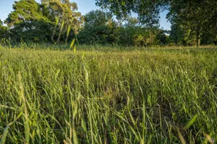 18320 Carriger Rd, Sonoma, CA 95476 - Photo 45