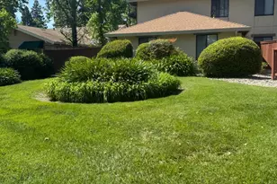 451 7th St, Sonoma, CA 95476 - Photo 3