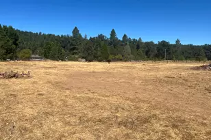 46145 Meadow Ln, Laytonville, CA 95454 - Photo 23