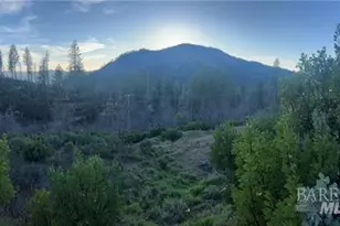 16789 Starview Loop, Cobb, CA 95426 - Photo 1