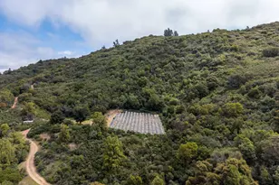 8451 Hwy 175, Hopland, CA 95449 - Photo 9