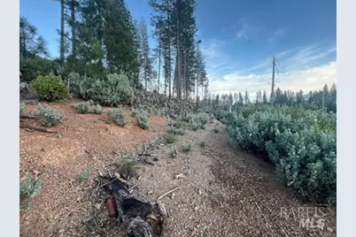 16790 Starview Loop, Cobb, CA 95426 - Photo 7