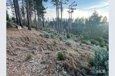 16790 Starview Loop, Cobb, CA 95426 - Photo 11