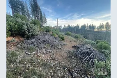 16790 Starview Loop, Cobb, CA 95426 - Photo 3