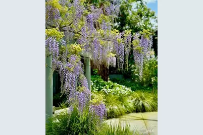 22 Clyde Avenue, San Rafael, CA 94901 - Photo 53