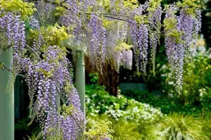 22 Clyde Ave, San Rafael, CA 94901 - Photo 53