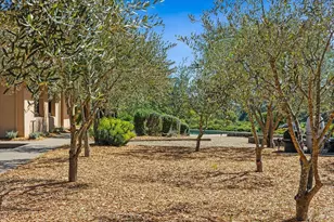 22355 Chianti Rd, Geyserville, CA 95441 - Photo 49