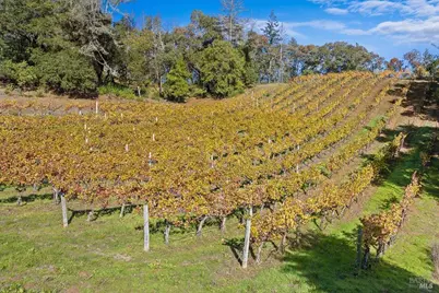 22355 Chianti Road, Geyserville, CA 95441 - Photo 69