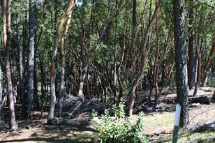 500 Woodman Creek Rd, Laytonville, CA 95454 - Photo 21