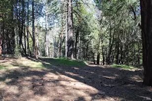 500 Woodman Creek Rd, Laytonville, CA 95454 - Photo 19