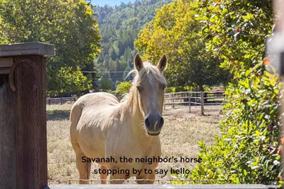 16390 Laughlin Road, Guerneville, CA 95446 - Photo 43
