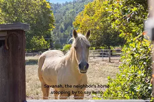 16390 Laughlin Rd, Guerneville, CA 95446 - Photo 43