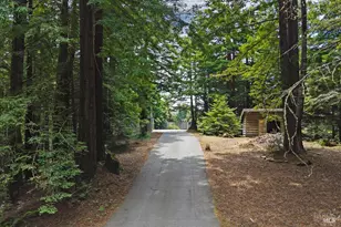 37275 Glennen Dr, Gualala, CA 95445 - Photo 13