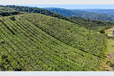 8435 W Highway 175 Highway, Hopland, CA 95449 - Photo 49