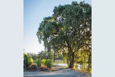 1096 Hardman Avenue, Napa, CA 94558 - Photo 47