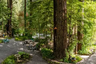 18 Wildwood Ln, Cazadero, CA 95421 - Photo 81