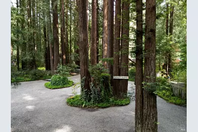 18 Wildwood Lane, Cazadero, CA 95421 - Photo 79
