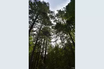 0 Old Monte Rio Road, Guerneville, CA 95446 - Photo 25