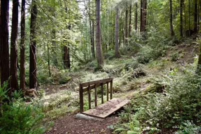 0 Old Monte Rio Road, Guerneville, CA 95446 - Photo 15