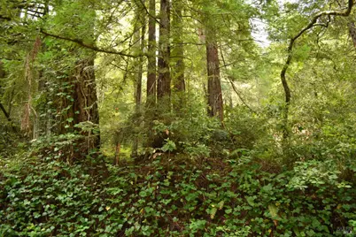 0 Old Monte Rio Road, Guerneville, CA 95446 - Photo 3