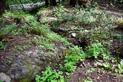 0 Old Monte Rio Road, Guerneville, CA 95446 - Photo 17