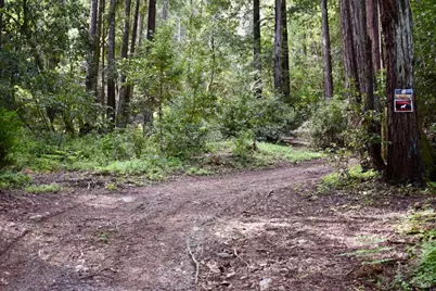 0 Old Monte Rio Road, Guerneville, CA 95446 - Photo 9