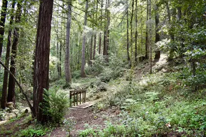 0 Old Monte Rio Road, Guerneville, CA 95446 - Photo 13