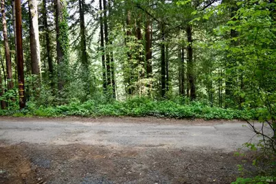 0 Old Monte Rio Road, Guerneville, CA 95446 - Photo 29