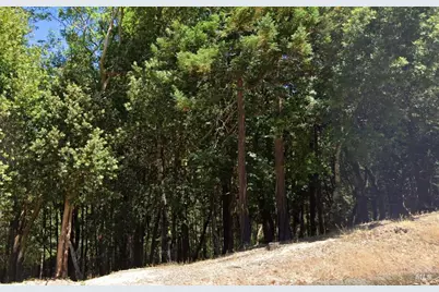 24921 Clover Road, Willits, CA 95490 - Photo 1