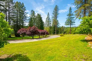 8099 Yule Tree Ln, Sebastopol, CA 95472 - Photo 5