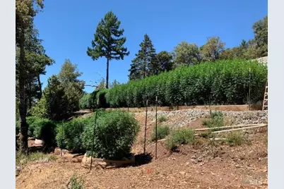 37600 N Hwy 101, Laytonville, CA 95454 - Photo 37