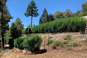 37600 N Hwy 101, Laytonville, CA 95454 - Photo 21