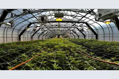 37600 N Hwy 101, Laytonville, CA 95454 - Photo 5