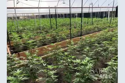 37600 N Hwy 101, Laytonville, CA 95454 - Photo 13