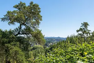 68 Wreden Ave, Fairfax, CA 94930 - Photo 53