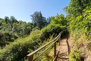 68 Wreden Ave, Fairfax, CA 94930 - Photo 47
