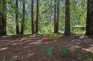 1650 Jonive Rd, Sebastopol, CA 95472 - Photo 45