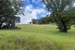 3701 Radical Ridge Rd, Redwood Valley, CA 95470 - Photo 1