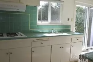 11 Chestnut Ave, San Rafael, CA 94901 - Photo 9