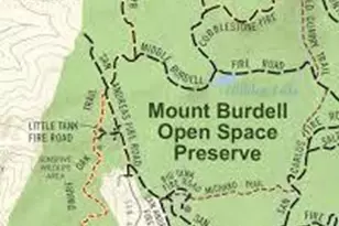 218 Verandah Ave, Novato, CA 94945 - Photo 53