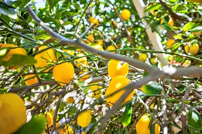 5035 Boulder Lane, Santa Rosa, CA 95405 - Photo 47