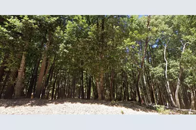 24230 Cypress Drive, Willits, CA 95490 - Photo 1