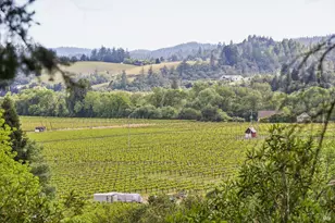 801 Dry Creek Rd, Healdsburg, CA 95448 - Photo 15