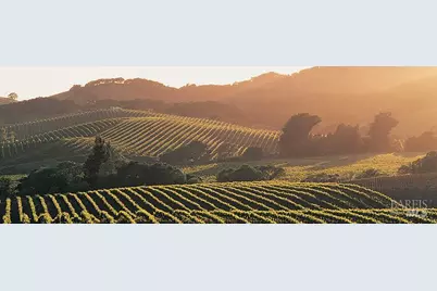 400 Smith Court, Petaluma, CA 94952 - Photo 51