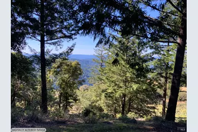 10225 Low Gap Road, Ukiah, CA 95482 - Photo 11