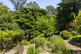 [Address not provided], Bolinas, CA 94924 - Photo 5