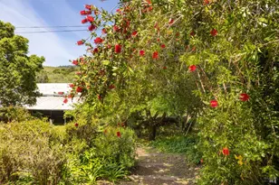 [Address not provided], Bolinas, CA 94924 - Photo 19