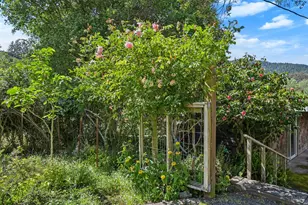 [Address not provided], Bolinas, CA 94924 - Photo 17