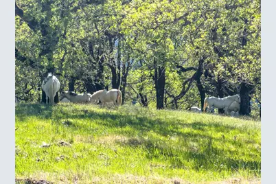 1510 Boonville Road, Ukiah, CA 95482 - Photo 23