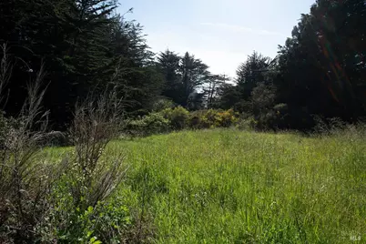 44861 Baywood Drive, Mendocino, CA 95460 - Photo 11